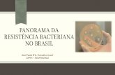 PANORAMA DA RESISTÊNCIA BACTERIANA NO BRASIL Paula D’A... · 1o caso de NDM no Rio de Janeiro ... - Em tratamento de leucemia no Instituto Estadual de Hematologia ... slide, selecione