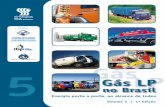 Gás LP - Sindigás · 2018-06-12 · Como superar a proposta de valor ... sui 98% de penetração no mercado nacional e que está mais presente ... o que demanda uma logística sofisticada