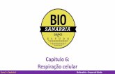 Capítulo 6: Respiração celular - biosanabria.com.br · Livro 1 –Capítulo 6 BioSanabria –Grupos de Estudo ROTAS METABÓLICAS Subst. A Subst. B Subst. C Subst. D Subst. A Subst.