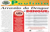 Arrastão da Dengue - paulinia.sp.gov.br · Criação da artista plástica Maria Luiza Pazzetti, o troféu de 2009 foi entregue a três mulheres que realmente Reconhecimento e valorização