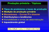 Produção primária - Tópicos - ecowin.org · Desertos, tundra. 0. Produtividade e biomassa média, taxa de renovação e clorofila em diferentes ecossistemas Produtividade Taxa