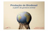 Produção de Biodiesel - 143.107.4.241143.107.4.241/download/documentos/2seminbioenergia/cesarabreu.pdf · Já existem estudos para diminuir a emissão de NOx, através do uso de