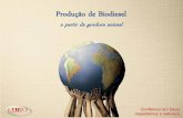 Produção de Biodiesel - MORINGAwebadvisor.com.br/sites/1700/1729/00000235.pdf · Com o objetivo de contribuir para a redução dos desmatamentos ilegais, foram estabelecidos controles
