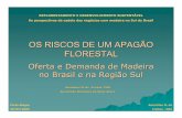OS RISCOS DE UM APAGÃO FLORESTAL - ciflorestas.com.br · •o Utilização de tabelas de produção de acordo com região e espécie; •o Reposição florestal de toda área de