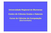 Universidade Regional de Blumenau Centro de Ciências Exatas e …dsc.inf.furb.br/arquivos/tccs/apresentacoes/2000-1anisiokienenap.pdf · geral sobre a metodologia Pert/Cpm, suas