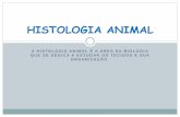A HISTOLOGIA ANIMAL É A ÁREA DA BIOLOGIA QUE SE …blog.cpbedu.me/.../sites/273/2018/11/Histologia-animal-CAGU.pdf · # Apoia-se sobre a membrana ou lâmina basal ... Tecido Nervoso.