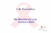 1 de Dezembro - cm-braganca.pt · Dia Mundial de Luta Contra a SIDA. HIV/SIDA CRI BRAGANÇA ... momento da infecção até que o sistema imune produza quantidades detectáveis de