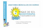 CURSO ANATOMIA DORSO - Toque de Sol Massoterapia, curso e ...toquedesol.com.br/downloads/curso_anatomia_dorso.pdf · Trapezio Grande dorsal Esplênio da cabeça Semi-Espinhoso da