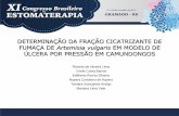 DETERMINAÇÃO DA FRAÇÃO CICATRIZANTE DE FUMAÇA DE …sobest.org.br/arquivos/CBEAULAS/dia2/14H15 - RICARDO LIMA - 5.pdf · imunoexpressão de NOSi e nitrotirosina no leito da ferida