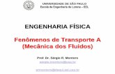 ENGENHARIA FÍSICA Fenômenos de Transporte A (Mecânica ...sistemas.eel.usp.br/docentes/arquivos/5022779/LOM3212/AULA 6 - FT... · Seja um sistema de massa m e velocidade v; ...
