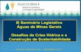 III Seminário Legislativo Águas de Minas Gerais Desafios ... · Não se deve reduzir os problemas hídricos meramente a aspectos particulares, vendo a gestão das águas como um