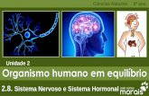 Unidade 2 Organismo humano em equilíbriojcmorais.com/documentos/CN9_Sistemas_Nervoso_Hormonal.pdf2.8. Sistema Nervoso e Sistema Hormonal Constituição do sistemas nervoso Sistema