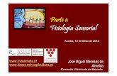 Parte 1: Fisiologia Sensorial - drapc.min-agricultura.pt · Fisiologia Sensorial José Miguel Meneses de Almeida Comissão Vitivinícola da Bairrada Anadia, 13 de Maio de 2013 . 2