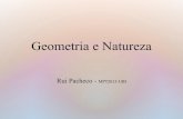 Geometria e Natureza - MPT2013 - UBI · Geometria e Natureza 1) ... Os raios de luz propagam-se em linha recta e as árvores crescem perpendicularmente ao solo. ... secta a tela num