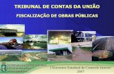 TRIBUNAL DE CONTAS DA UNIÃO - cge.ce.gov.br · 2- Os recursos públicos envolvidos são elevados ... •consomem volumes expressivos de recursos; ... documento de AIA (Lei 6.938/81