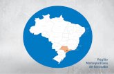 Região Metropolitana de Sorocaba - ipea.gov.br · para o município núcleo da RM de Sorocaba e para os demais municípios metropolitanos, identificados, no gráfico 5, como o entorno.