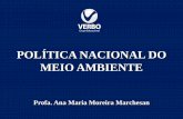 POLÍTICA NACIONAL DO MEIO AMBIENTE - …aulas.verbojuridico3.com/Pos_Gestao/Politica_Nacional_do Meio... · Princípios da PNMA (art. 2º): I - ação governamental na manutenção