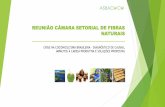 REUNIÃO CÂMARA SETORIAL DE FIBRAS …µe em risco o futuro de uma agroindústria de exportação de um “produto diferenciado” com impacto negativo ao PIB do estado da Bahia e