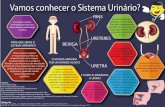 Vamos conhecer o Sistema Urinário? - doutorbexiga.com.br · Ou seja, a bexiga recebe comandos do sistema nervoso (estímulos neurológicos) que geram o re˚exo de urinar, ou então,