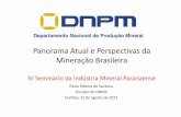 Panorama Atual e Perspectivas da Mineração Brasileira · Per Capita 2,1 1,4 3,5 ... Produção em 2010 -5.685.000 toneladas de cimento ... prevê que o consumo de calcário agrícola