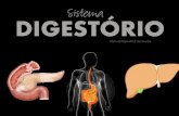142 ANA DIGESTÓRIO - musse3.hospedagemdesites.wsmusse3.hospedagemdesites.ws/.../03/181_ANA_DIGESTORIO_SITE_NA_SQ.pdfO Sistema Digestório: É constituído pelo tubo digestivo e órgãos