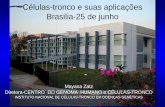 Células-tronco e suas aplicações Brasilia-25 de junho · - Natação - Esteira - Rotarod - Inclinação - Força (grip) - Força (sustentação) Grupo injetado manteve-se estável