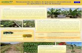 2. Ações implementadas e resultados · pragas e doenças da bananeira e mangueira, com destaque para métodos preventivos e biológicos Tecnologias de produção • Implantação