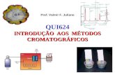 Apresentação do PowerPoint - Departamento de Química da UFMGzeus.qui.ufmg.br/~valmir/Cromatografia.ppt · PPT file · Web view2012-12-17 · Um bom exemplo é a ... Cromatografia