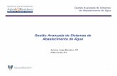 Gestão Avan çada de Sistemas de Abastecimento de Água · Fonte: Balanço do Estado do Sector em Portugal (ENEG 2009). Avaliação e evolução do PEAASAR II (2007-2013) Gestão