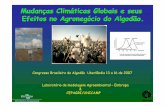 Mudan ças Clim áticas Globais e seus Mudanças Climáticas ... · Slide cedido Por Pedro Leite da Silva Dias IAG/USP. Pinatubo 30 SO 0 I-30 1955 1960 1965 1970 1975 1980 1985 1990