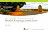 Enfrentando a demanda da China por madeira - cifor.org · sistema de concessões florestais como o principal instrumento que rege as operações comerciais de extração em Moçambique.