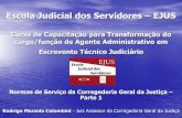 Escola Judicial dos Servidores EJUS - tjsp.jus.br · mais de uma vara haverá um ofício ou seção de distribuição judicial, ao qual ... • Possibilidade de encerramento dos livros