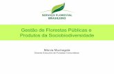 Gestão de Florestas Públicas e Produtos da Sociobiodiversidade · localizadas nos diversos biomas brasileiros, em bens sob o domínio da União, dos Estados, dos Municípios, do