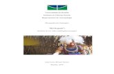 “Ibê Kupatô” - Biblioteca Digital de Monografias ...bdm.unb.br/bitstream/10483/12846/1/2016_JoaoLucasMoraesPassos.pdf · minha aldeia bonita. Cheguei de novo em Pykatôti. Depois