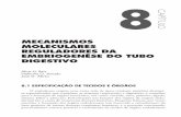 MECANISMOS MOLECULARES REGULADORES DA …pdf.blucher.com.br.s3-sa-east-1.amazonaws.com/openaccess/... · MOLECULARES REGULADORES DA EMBRIOGENÊSE DO TUBO DIGESTIVO Alice H. Reis ...