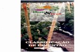 minas1.ceasa.mg.gov.brminas1.ceasa.mg.gov.br/.../_lib/file/docagroqcartilhas/PIMENTAO.pdf · a novidade das cores A Secretaria da Agricultura e Abastecimento de São Paulo apresenta