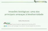 Invasões biológicas: uma das principais ameaças à ...ecoescolas.abae.pt/outros/seminario/2013/docs/painel_1/... · •As nossas florestas, dunas, lagos, zonas ribeirinhas,…