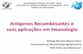 Antígenos Recombinantes e suas aplicações em Imunologia · recombinante em E. coli: 3 etapas - Clonagem Gênica ... Análise (mapeamento) ... Vacinas de DNA Clonagem do gene em