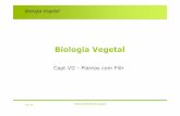 Biologia Vegetal - FCULwebpages.fc.ul.pt/~maloucao/Aula 20BV.pdf · evolução do endosperma de diplóide para triplóide •O que é uma flôr e quais as suas principais partes ?