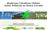 Mudanças Climáticas Globais Ações Relativas ao bioma Cerrado · seres vivos devido o aumento de temperatura, ... risco de temperatura baixa risco excesso hídrico baixo risco