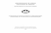 UNIVERSIDADE DE LISBOA - repositorio.ul.ptrepositorio.ul.pt/bitstream/10451/1434/1/20821_ulfc080598_tm.pdf · Europeia sobre a captura, transporte e armazenamento de CO2, a Iniciativa