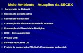 Meio Ambiente - Atuações da SECEXaz545403.vo.msecnd.net/uploads/2012/05/semana2008_eliane_fontes.pdf · Meio Ambiente, Rio de Janeiro (Rio 92); Comitê de especialistas (ONU), criação