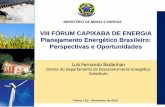 VIII FÓRUM CAPIXABA DE ENERGIA Planejamento Energético ...fenergia.com.br/downloads/fenergia-2016-01-luiz-fernando.pdf · Conselho Nacional de Política Energética Comitê de Monitoramento