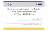 Medicamentos Inibidores do Apetite Painel Técnico ... · Notório Saber PUC-Rio ... biênio 2009/2010 ... evidências para a relação risco-benefício para o uso da sibutramina?