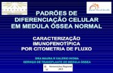 PADRÕES DE DIFERENCIAÇÃO CELULAR EM MEDULA …gbcflux.hospedaria.com.br/.../PADROES_DE_DIFERENCIACAO_CELULAR1.pdf · POR CITOMETRIA DE FLUXO DRA MAURA R VALERIO IKOMA SERVIÇO