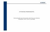 Sistematização das Informações sobre Recursos Naturais ...unstats.un.org/unsd/envaccounting/workshops/brazil2009flea/S3.3-P.pdf · ATIVIDADE PERMANENTE Sistematização das Informações