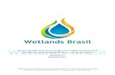 GRUPO DE ESTUDOS EM SISTEMAS WETLANDS …gesad.ufsc.br/files/2017/12/Boletim-n°7-Wetlands-Brasil.pdf · Universidade de Santa Cruz do Sul - UNISC enio@unisc.br Dr. José Tavares