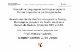 Prof. Responsáveis Wagner Santos C. de JesusParte-8).pdfSwing Vem a um pacote da linguagem Java que se mistura com awt recursos para construção de aplicações gráficas. awt ...