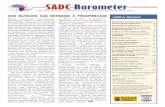 Publicado pelo South African Institute of International ... · de exportação’. Os países da SADC estão conscientes de que não podem competir globalmente como participantes