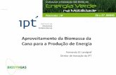Aproveitamento da Biomassa da Cana para a Produção de Energia Brasil tem investido muito mais na hidrólise enzimática do que na gaseificação ... de forma autotérmica de maneira